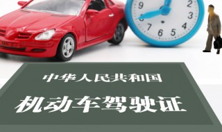 c5驾照能开什么车（c5驾照能开什么车图片）