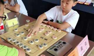 儿童学象棋的好处和弊端（儿童学象棋好不好）