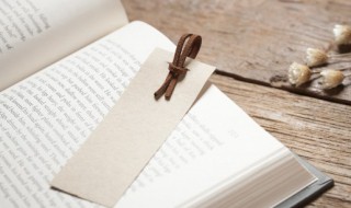 莫使金樽空对月下一句 莫使金樽空对月什么意思