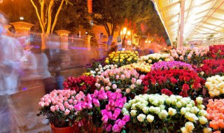 花卉常用繁殖方法 花卉常用的繁殖方法