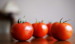 西红柿英语怎么说 草莓用英语怎么说