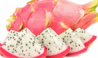 火龙果插枝种植方法（火龙果扦插多久可挂果）