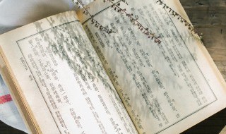 迎面的拼音（迎的拼音）