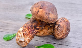 松茸银耳瘦肉汤做法 松茸银耳瘦肉汤做法视频