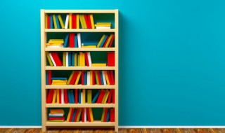 磊落光明名词解释（光明磊落的解释）