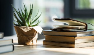 杜门绝迹名词解释 名词解释开鬼门