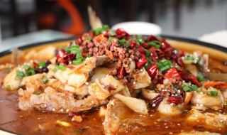 犀浦鲢鱼做法（目鲢鱼怎么做）