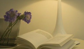 饥不择食名词解释 饥不欲食名词解释