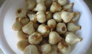 腌醋蒜做法 腌醋蒜的做法