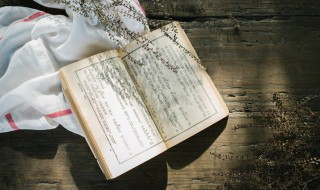 恋恋不舍名词解释（恋恋不舍词语解释）