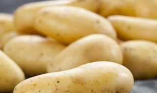 南方10月份可以种土豆吗(南方10月份可以种土豆吗视频)