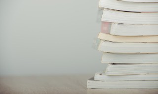 以卵击石名词解释（以卵击石的词语）