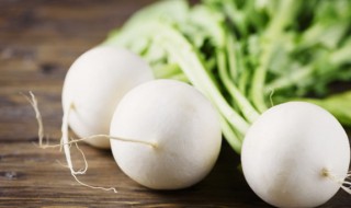 萝卜的生长特性（萝卜的生长特性是什么）