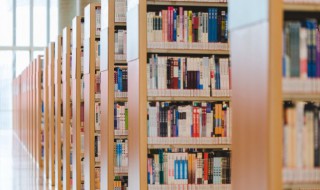 使乖弄巧名词解释（乖巧解释词语）