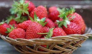 10月份移栽草莓可以成活吗 移栽草莓的最佳时间