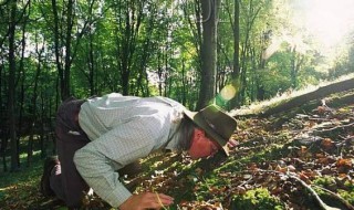 松露生长环境的特点 松露怎么吃