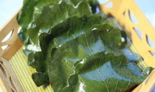 长城饽椤饼做法（秦皇岛长城饽椤饼）