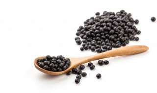 杜仲黑豆汤做法 杜仲黑豆汤的做法