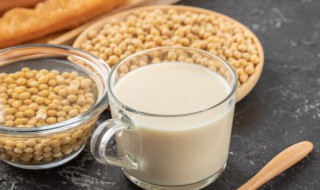 豆乳饮料做法 豆乳饮料怎么做