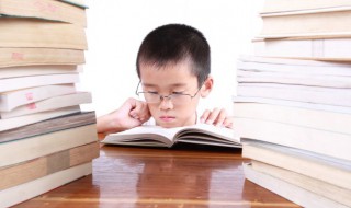 东南之宝名词解释（东南之宝名词解释是什么）