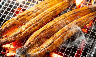 盐烤秋刀鱼做法 盐烤秋刀鱼的做法