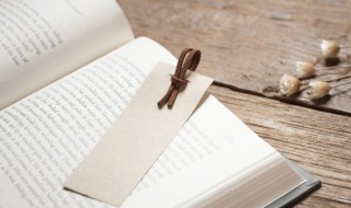 比肩齐声名词解释