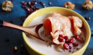 红豆炖花胶做法（红豆炖花胶功效和作用）