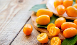 桔子的种类有哪些 27种柑橘类水果