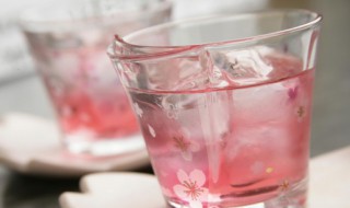 自制梅子酒做法 自制梅子酒的做法