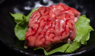 炖猪脑做法 猪脑怎么做简单又好吃