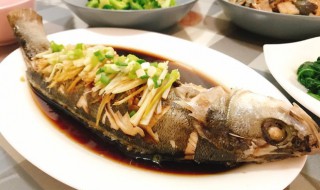 清蒸河鲈鱼做法（清蒸河鲈鱼做法大全）