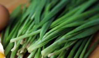 如何长期保存韭菜（如何长时间保存韭菜）