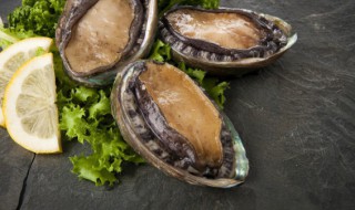 死鲍鱼能吃吗 吃完鲍鱼千万别碰5种食物