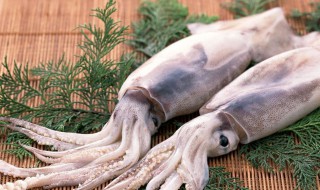 乌贼怎么清洗(冰冻小乌贼怎么清洗)