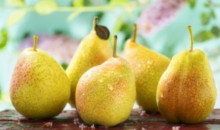 梨子如何保存和保鲜 梨子如何保存和保鲜呢