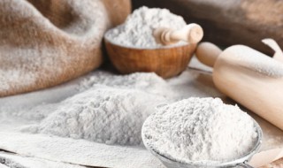 如何保存面粉（如何保存面粉不生虫）