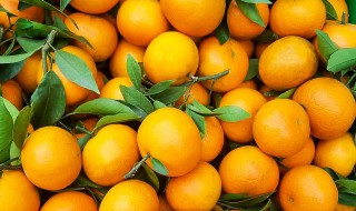 柑桔类水果有哪些（柑桔类水果有那些）