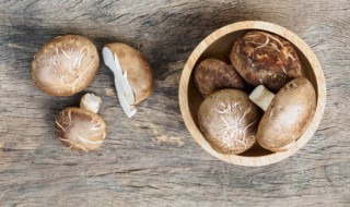 香菇虾皮菠菜汤做法（虾皮菠菜汤的做法）