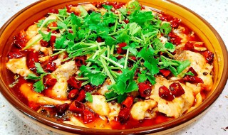 水煮活鱼做法 水煮鱼做法