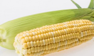 红萝卜玉米瘦肉汤做法 红萝卜玉米瘦肉汤的做法