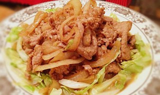 姜烧猪肉做法（猪肉生姜烧做法）