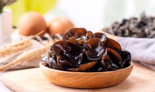 木耳腐竹做法（木耳腐竹做法视频教程）