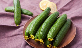 冰糖黄瓜做法 冰糖黄瓜做法视频教程