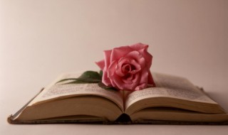 最新潮的网名（最新潮的网名男）