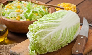 黄心菜十一月份可以移栽吗（黄心菜十一月份可以移栽吗）