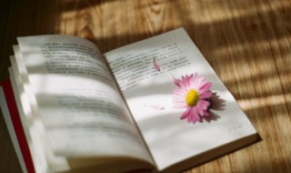 踔厉风发名词解释（名词解释火风压）