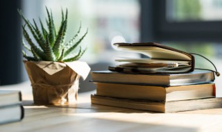 豪情壮志名词解释 豪情壮志名词解释