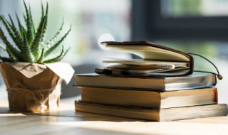 反裘负刍名词解释 反刍的名词解释是什么