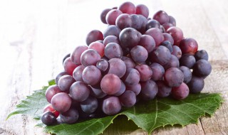 蓝宝石葡萄品种介绍（蓝宝石葡萄品种介绍及图片）