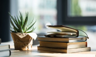 时乖运蹇名词解释 命蹇时乖运又迟是什么意思